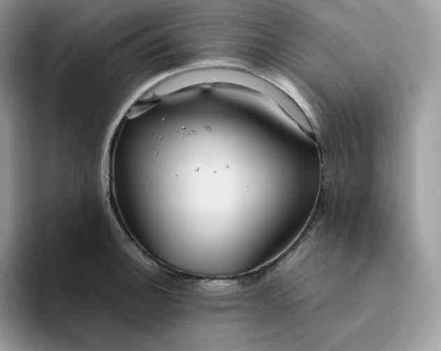 X0000094221140200711091251