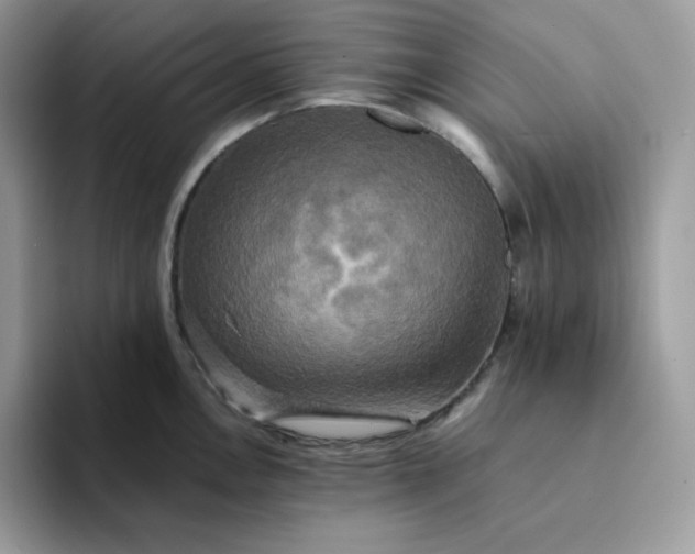 X0000094221146200711091251