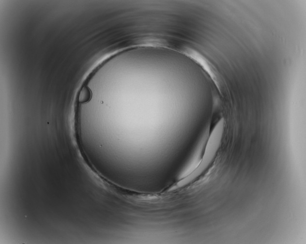 X0000094221147200711091251