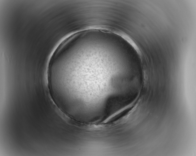 X0000094221148200711091251