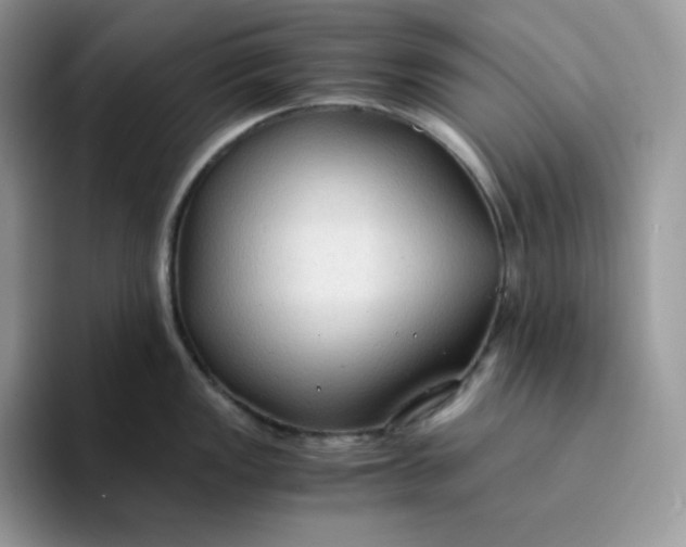 X0000094221149200711091251