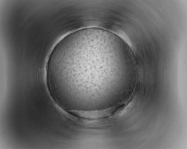 X0000094221151200711091251