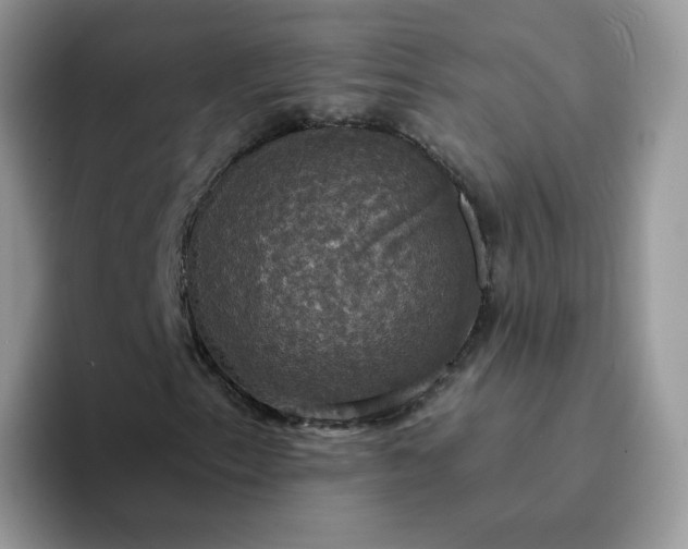 X0000094221153200711091251