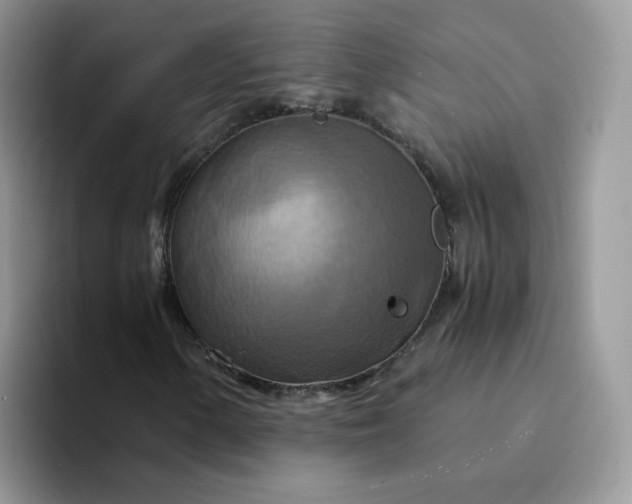 X0000094221154200711091251