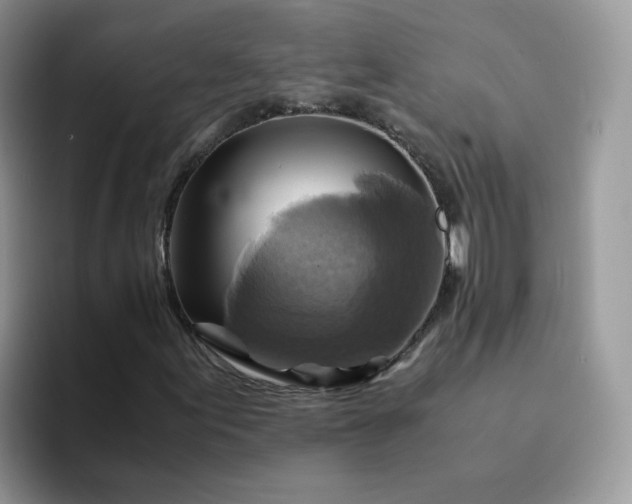 X0000094221155200711091250