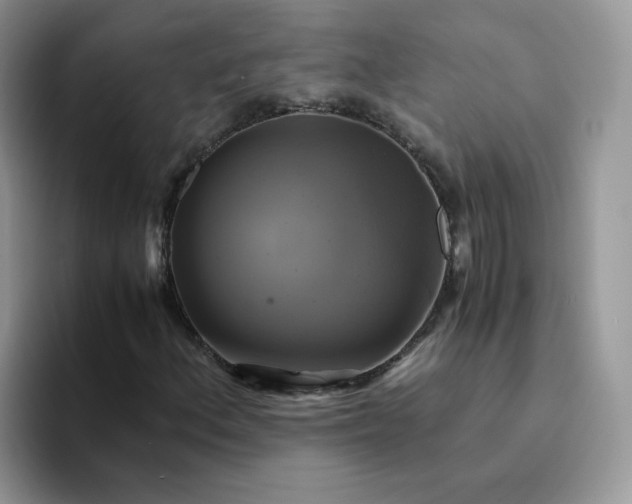 X0000094221156200711091250