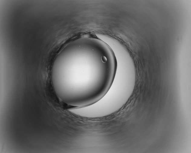 X0000094221157200711091250