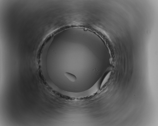 X0000094221160200711091250