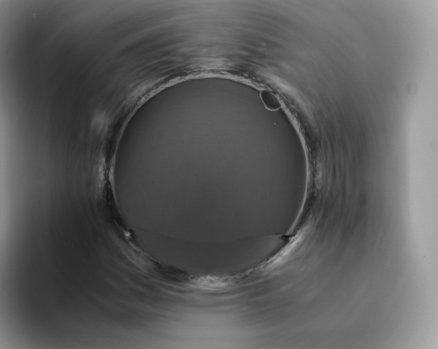 X0000094221161200711091250