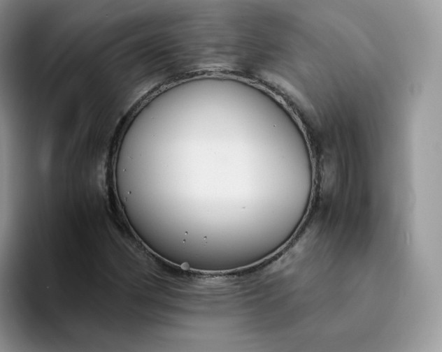 X0000094221162200711091250