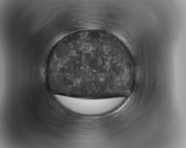 X0000094221163200711091250