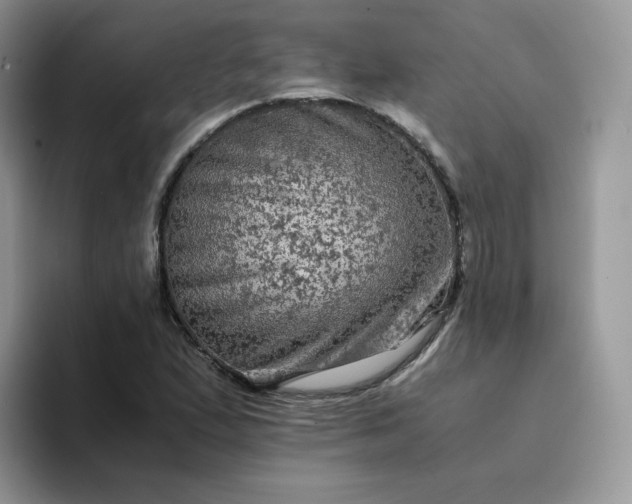 X0000094221167200711091250