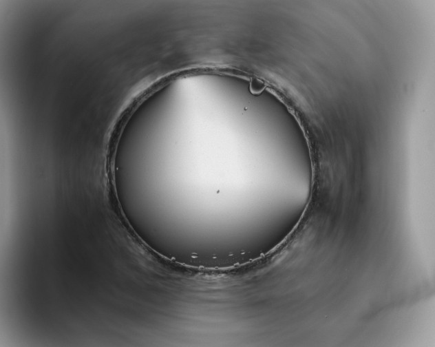 X0000094221168200711091250