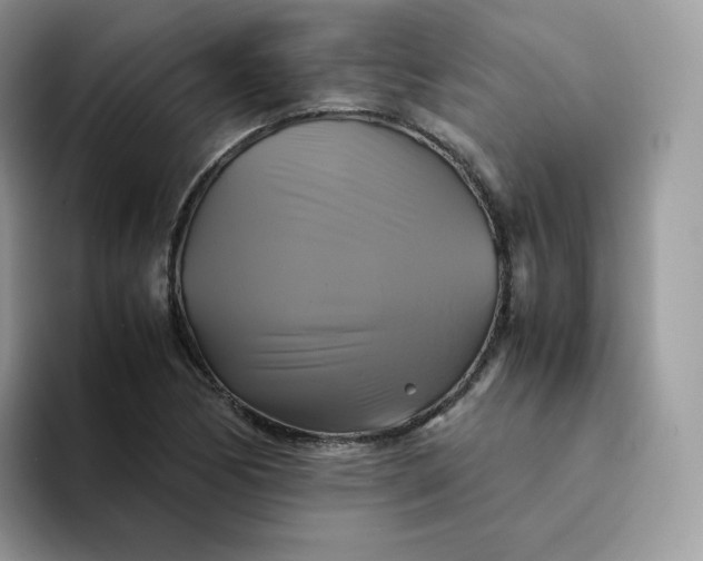 X0000094221170200711091250