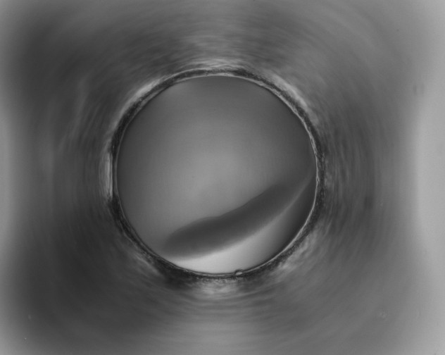 X0000094221171200711091250