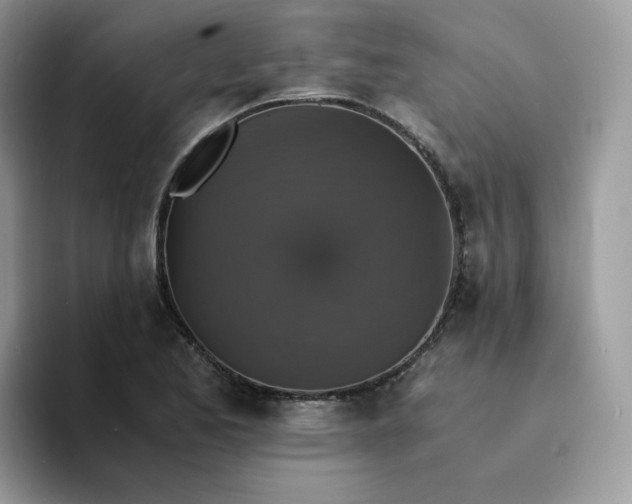 X0000094221173200711091250