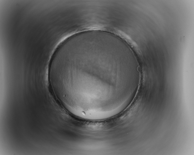 X0000094221174200711091250