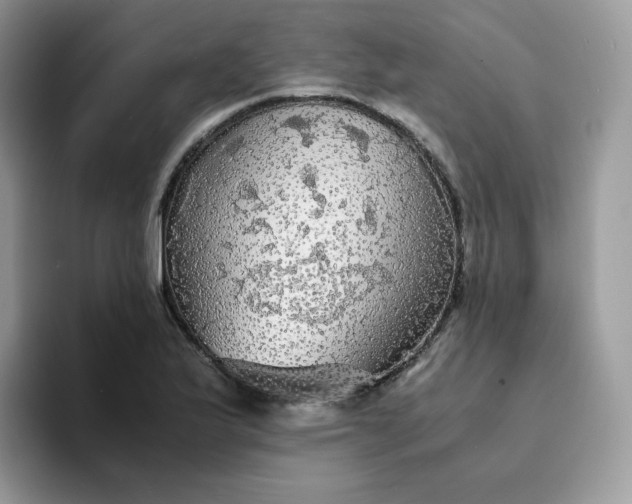 X0000094221175200711091250