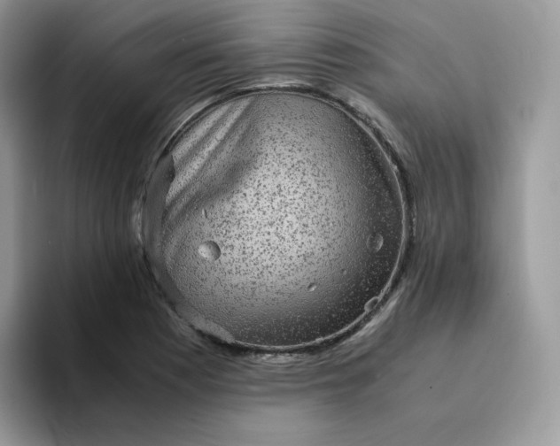 X0000094221177200711091250