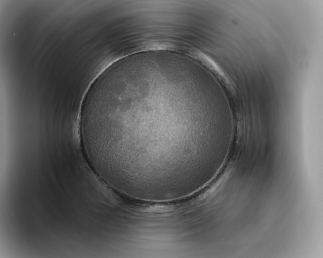 X0000094221178200711091250