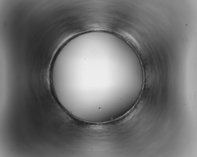 X0000094221182200711091250