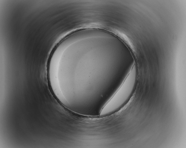 X0000094221184200711091250