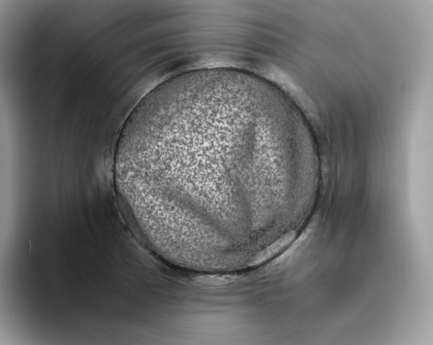 X0000094221185200711091250