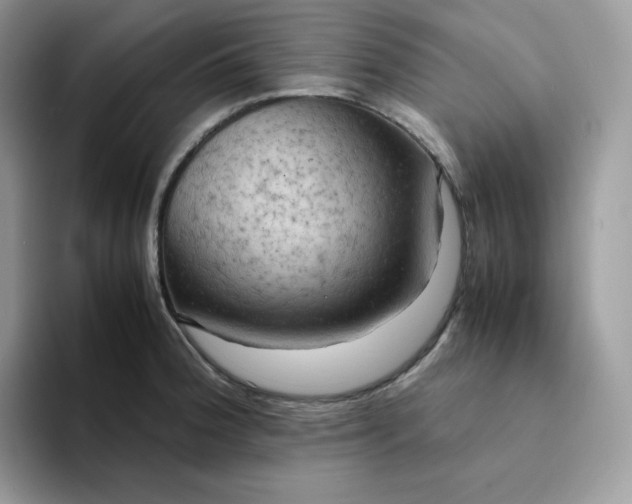 X0000094221188200711091250