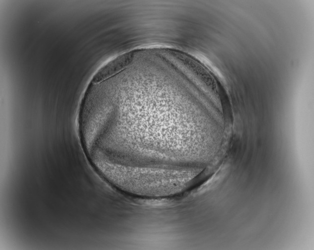 X0000094221189200711091250