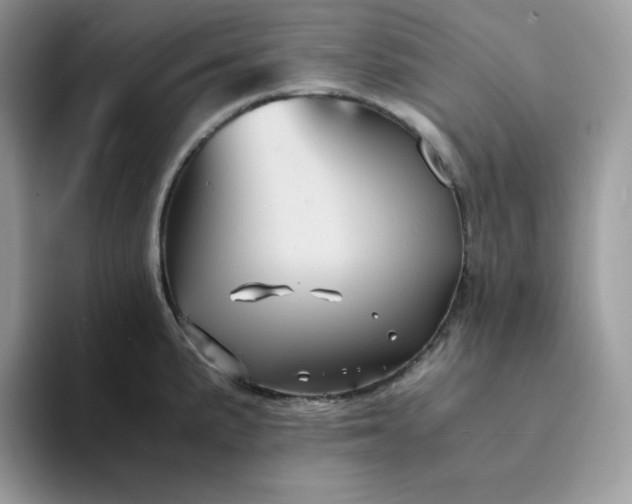 X0000094221191200711091250