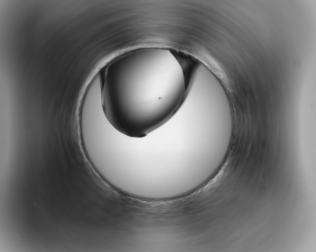 X0000094221192200711091250