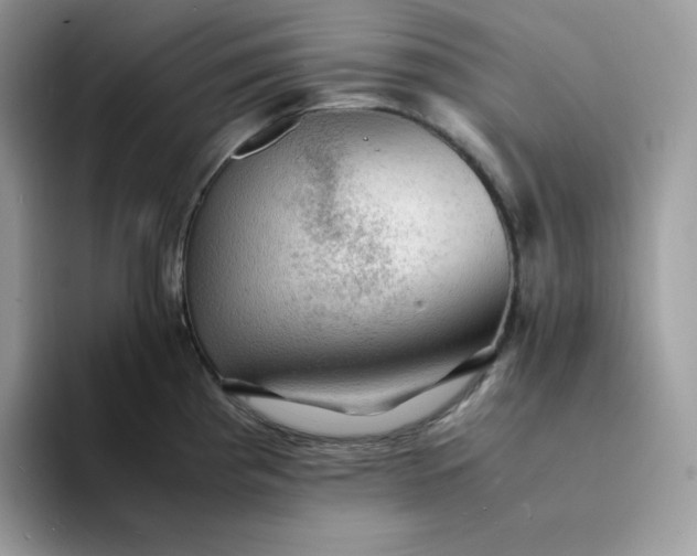 X0000094221193200711091250