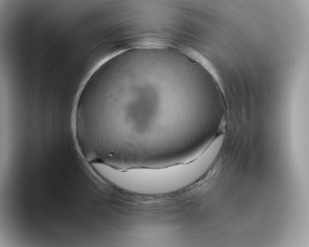 X0000094221195200711091250