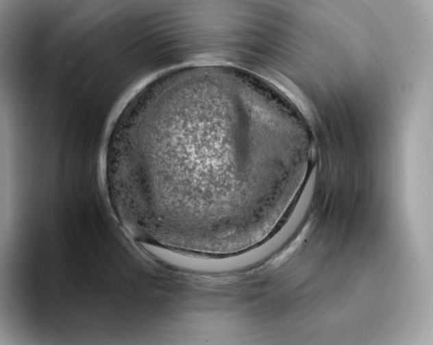 X0000094221196200711091250