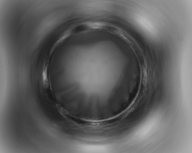 X0000094221198200711091250