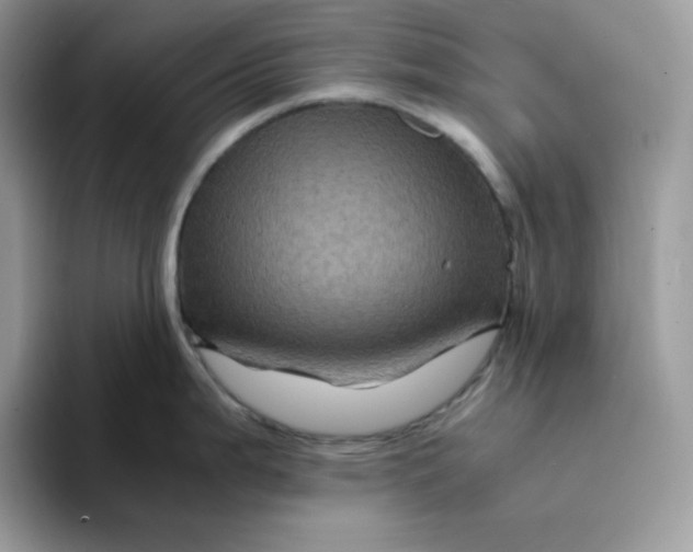 X0000094221199200711091250