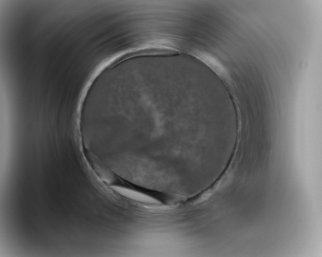 X0000094221200200711091250