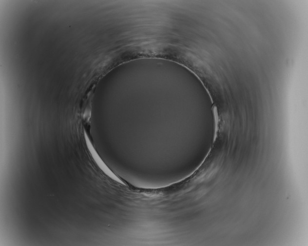 X0000094221202200711091249