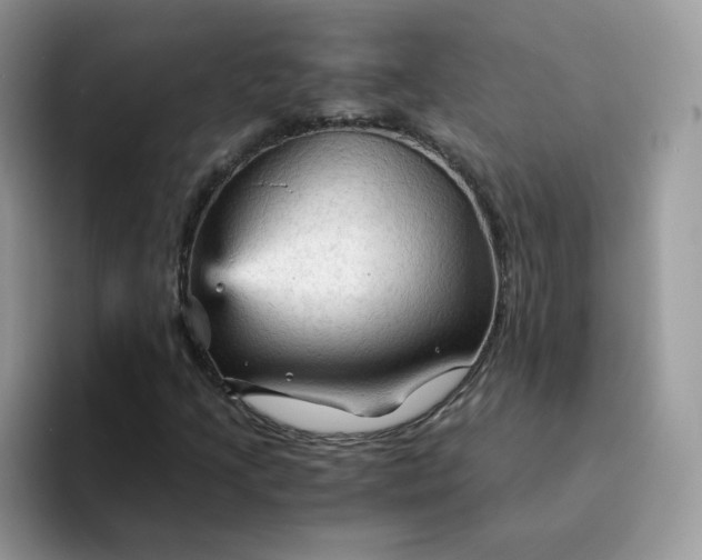 X0000094221205200711091249