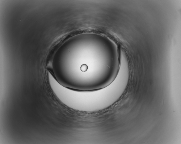 X0000094221206200711091249