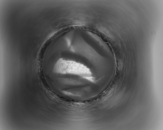 X0000094221208200711091249