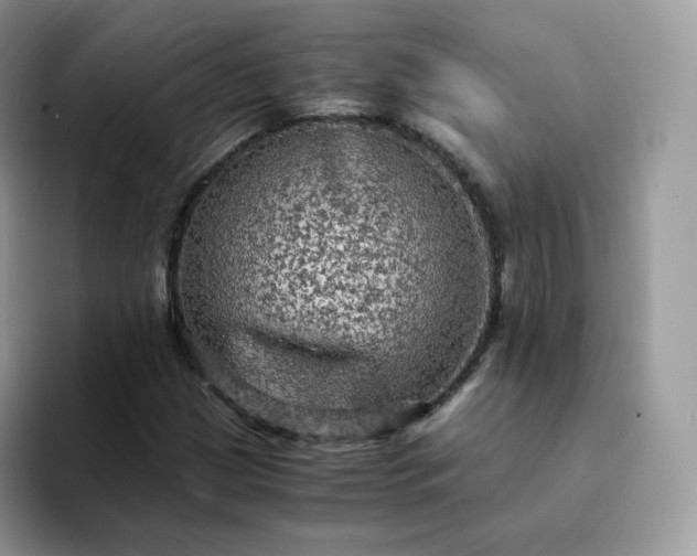 X0000094221209200711091250