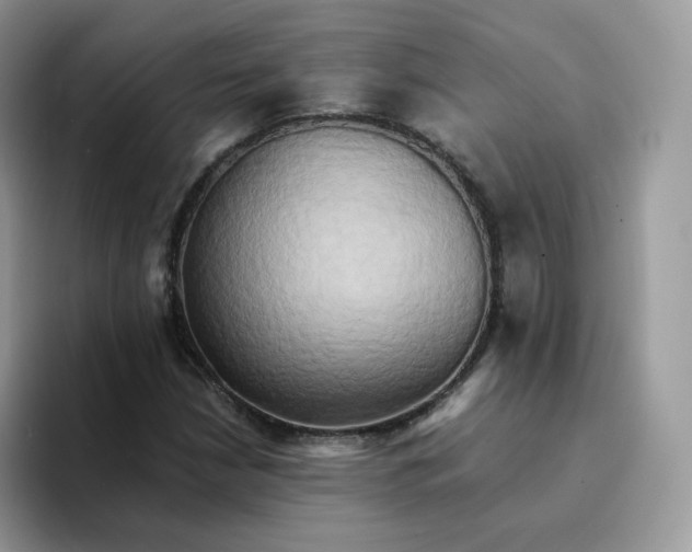 X0000094221210200711091250