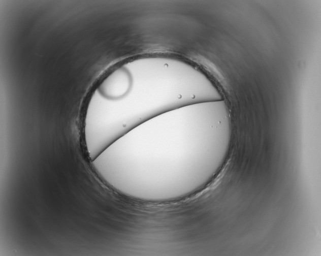 X0000094221212200711091250