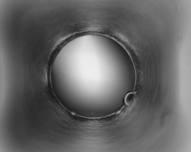 X0000094221214200711091250