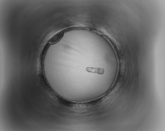 X0000094221215200711091250