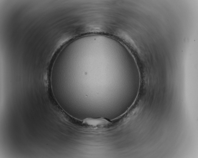 X0000094221218200711091250