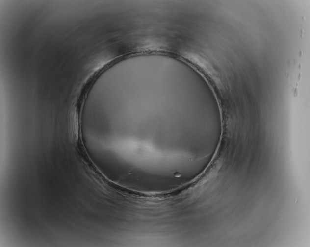 X0000094221219200711091250