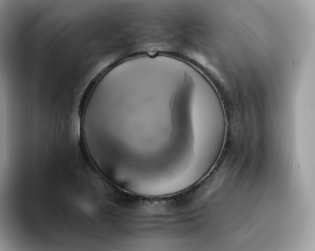 X0000094221221200711091250