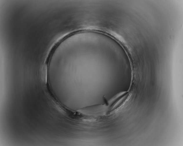 X0000094221223200711091250